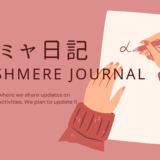 カシミヤ日記【2025年12月1日号】